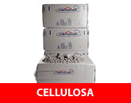 Cellulosa_2021